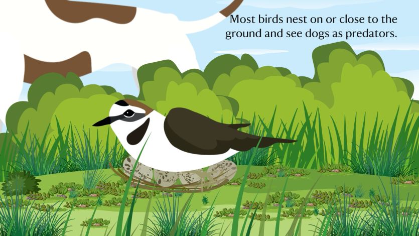 charity explainer video